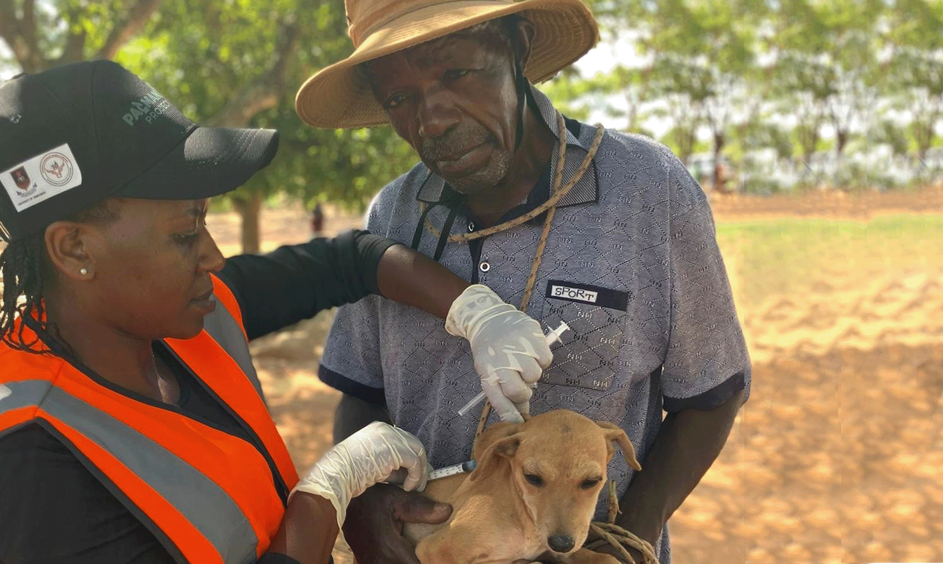 International Course on Rabies Surveillance and Control Zimbabwe