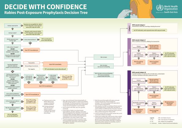 Decide with confidence - Rabies Post-Exposure Prophylaxis Decision Tree Poster Thumbnail
